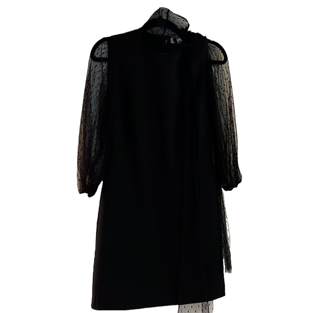 Red Valentino Mini Dress with Polka Dot Tulle Application - Picture 4 of 4
